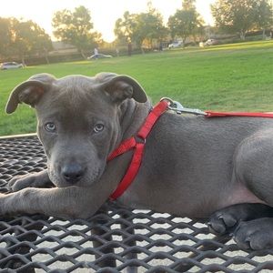 Meet your Posher, Norma